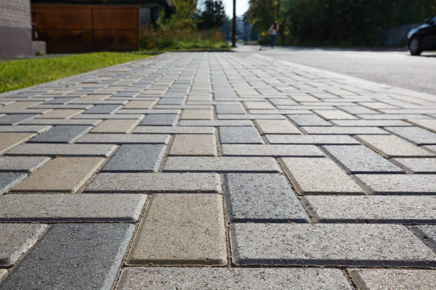 Best Professional Driveway Pavers  in Los Ranchos De Albuquerque, NM