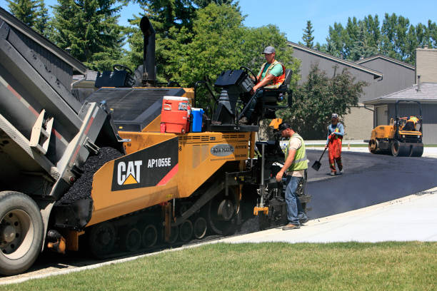 Best Decorative Driveway Pavers  in Los Ranchos De Albuquerque, NM